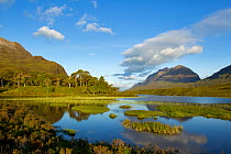 Loch Clair and pinewoods with Liathach beyond, Torridon, NW Scotland, UK, June