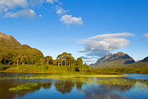 Loch Clair and pinewoods with Liathach beyond, Torridon, North-west Scotland