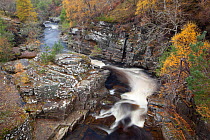 River Tromie in autumn, Cairngorms NP, Highlands, Scotland, UK, October 2010
