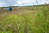 Family visiting the Westhay Nature Reserve, Somerset Levels, UK, June 2011, model released