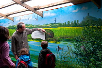 Family learning about bitterns from information display, visiting the Westhay Nature Reserve, Somerset Levels, UK, June 2011, model released