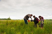 Family pond dipping in rhyne, visiting the Westhay Nature Reserve, Somerset Levels, UK, June 2011, model released