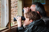 Father and son bird watching from hide, visiting the Westhay Nature Reserve, Somerset Levels, UK, June 2011, model released