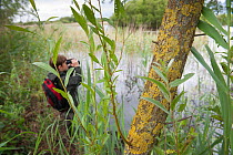 Boy birdwatching on family visit to the Westhay Nature Reserve, Somerset Levels, UK, June 2011, model released