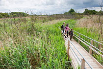 Family walking along raised walkway on visit to the Westhay Nature Reserve, Somerset Levels, UK, June 2011, model released