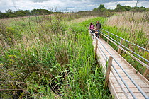 Family on raised wooden walkway on visit to the Westhay Nature Reserve, Somerset Levels, UK, June 2011, model released