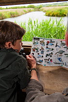 Father and son identifying birds on family visit to the Westhay Nature Reserve, Somerset Levels, UK, June 2011, model released