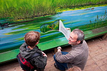 Family learning about wetlands wildlife on visit to the Westhay Nature Reserve, Somerset Levels, UK, June 2011, model released