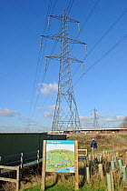 Electricity pylon and information board on Rainham Marsh RSPB Reserve, Thames Futurescapes Project, Essex, UK, January 2011
