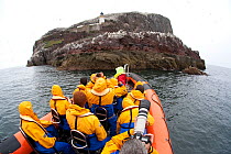 Group of tourists wearing waterproof clothing and life jackets photograph Gannet colony from zodiac boat on tour around Bass Rock, North Berwick, Firth of Forth, Lothian, Scotland, UK, August 2011. Di...