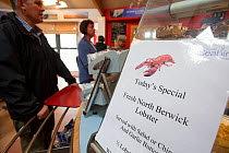 Lobster on the menu in cafe at Scottish Seabird Centre, North Berwick, Firth of Forth, Lothian, Scotland, UK, August 2011