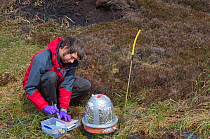 Scientist, Mike Whitfield, carrying out fieldwork on peatland carbon capture at Moorhouse NNR, Upper Teesdale, County Durham, UK, May 2011, model released