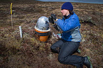 Scientist, Alona Armstrong, carrying out fieldwork on peatland carbon capture at Moorhouse NNR, Upper Teesdale, County Durham, UK, May 2011, model released