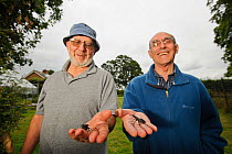 Researcher Colin Hawes and garden owner Robert Mawkes with Stag beetles (Lucanus cervus) from his garden, Suffolk, UK. Controlled conditions, Model released.