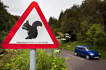 Red squirrel (Sciurus vulgaris) road traffic warning sign in the buffer zone of Kielder Forest red squirrel reserve area, Northumberland, UK, July 2011.