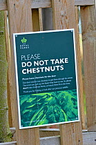 'Do Not Take Chestnuts' sign, Richmond Park, Surrey, England, UK, October 2011