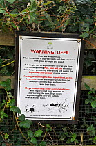 Deer warning sign in Richmond Park, Surrey, England, UK, October 2011