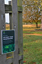 'Do Not Take Mushrooms' sign, Richmond Park, Surrey, England, UK, October 2011