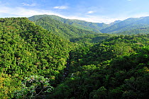 Aerial view of the Atlantic rainforest of Itatiaia National Park, Rio de Janeiro State, Southeastern Brazil, July 2011