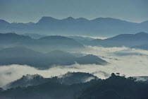 Aerial view of Sierra of Mantiqueira mountains in the early morning with mist in the valleys, from Visconde de Maua locality, Resende, Rio de Janeiro State, Brazil, June 2011
