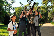 Birdwatchers photographing birds in the Botanical Garden of Rio de Janeiro City, Rio de Janeiro State, Brazil, August 2011