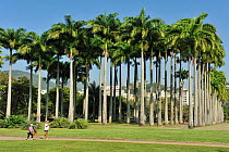 Aterro do Flamengo, parkland designed by Roberto Burle Marx, Rio de Janeiro City, Rio de Janeiro State, Brazil, May 2011