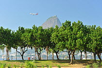 Aterro do Flamengo, a park designed by Roberto Burle Marx, with Rio de Janeiro city and the Sugar Loaf mountain in the background, Rio de Janeiro State, Brazil, May 2011