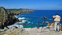 Birdwatcher with telescope scanning the cliffs at Cap de Sizun, nature reserve and bird sanctuary in Finistère, Brittany, France June 2011