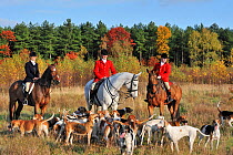 Hunters on horseback with pack of hounds during drag hunting in autumn, an alternative to fox hunting, Europe October 2011