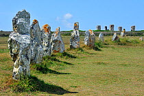 Megalithic standing stones / Alignements de Lagatjar at Crozon, Camaret-sur-Mer, Finistère, Brittany, France June 2011