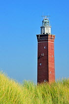 The lighthouse Westhoofd in the dunes at Ouddorp, Zeeland, The Netherlands  October 2011