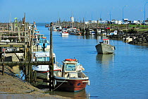 Fishing boats and oyster farming boats in the harbour Port du Bec near Beauvoir-sur-mer, La Vendée, Pays de la Loire, France September 2011