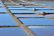 Salt pan for the production of fleur de sel / sea salt on the island Ile de Noirmoutier, La Vendee, Pays de la Loire, France September 2011