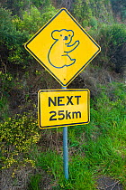 Koala warning road sign, Cape Otway, Great Otway National Park, Victoria State, Australia, September 2011.