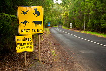 Wildlife crossing warning road sign and Injured wildlife contact number, Cape Otway, Great Otway National Park, Victoria State, Australia, September 2011.