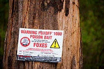 Fox poison warning sign attached to tree, Great Otway National Park, Victoria State, Australia, September 2011.