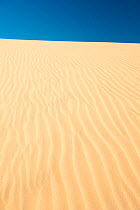 Little Sahara dunes, Seal Bay Conservation Park, Kangaroo Island, South Australia State, Australia, September 2011.
