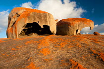 Remarkable Rocks, Flinders Chase National Park, Kangaroo Island, South Australia State, Australia, September 2011.