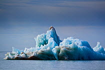 Iceberg floating, eroded by sun and water, King's Bay, Spitzbergen, Svalbard, Norway, July