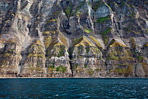 Cliffs on the southern side of the Isfjord, near  Longyearbyen Airport, Spitzbergen, Svalbard, Norway, July 2011  /  Falaises