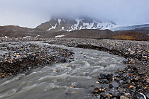 Torrent of cold water from a melting glacier, Trygghamna Fjord, Spitzbergen. Svalbard, Norway, July 2011  /  Torrent provenant de la fonte d'un glacier