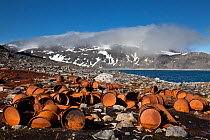 Rusty barrels at the historical site of Virgohamna where, in 1897, the hydrogen balloon 'Omen' (the Eagle) sailed northward in a failed attempt to reach the north pole with 3 Swedish ballooners led by...