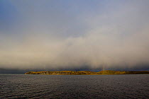 Clouds cloaking the shore of the Beagle Channel, Tierra del Fuego Archipelago, South America, December.