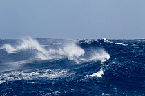 A rough and windy day in the Drake Passage with Force 9+ beaufort scale conditions. Drake Passage, South Atlantic, January.