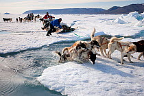 Inuit husky dog team crossing crack in sea ice. Near Qaanaaq, Greenland. Freeze frame book plate page 161.