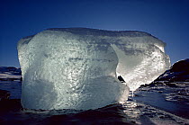Thawing iceberg, Antarctica. Freeze Frame book plate page 83.