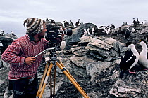 Cameraman Doug Allan filming Shags (Phalacrocorax aristotelis) on his first ever paid shoot. Signy Island, South Orkney Islands, Antarctica, 1984. Freeze frame book plate page 36.