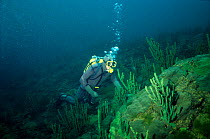 Doug Allan diving underwater observing antiquarian sponges, Lake Baikal, Siberia, Russia, March, Freeze Frame book plate page 49