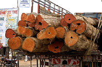 Trees as cut logs stacked up on lorry, taken near Pench National Park, Madhya Pradesh, India