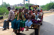 Workers on their way to work on back of pick up truck, Daroji, Karnataka, India, 2006